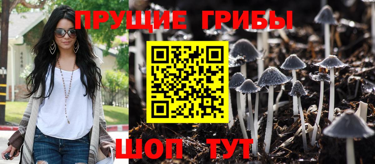 Галлюциногенные грибы Psilocybe  Вход с VPN  Балабаново 