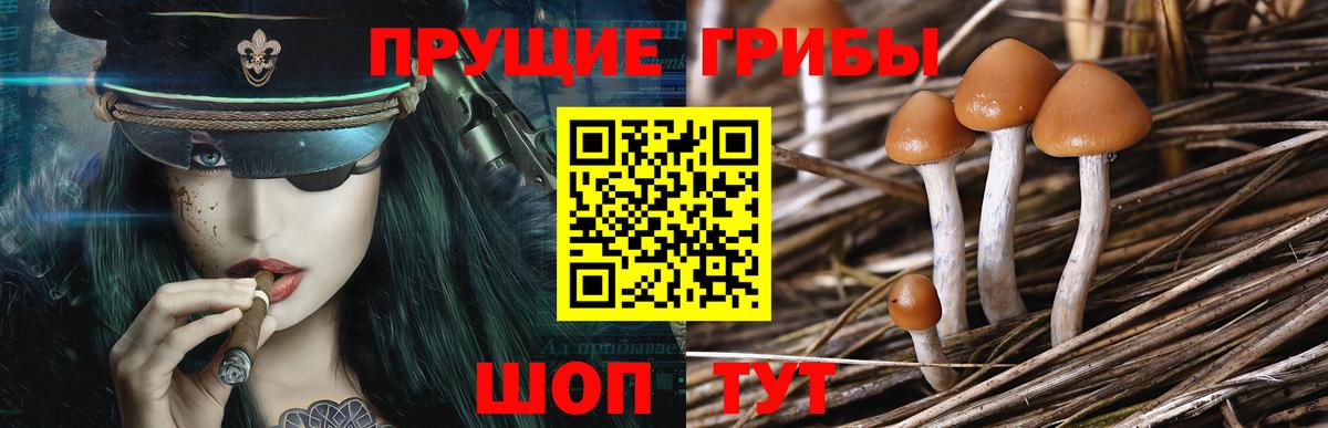 Псилоцибиновые грибы ЛСД Балабаново