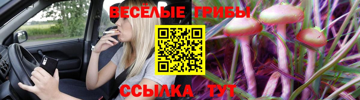 Галлюциногенные грибы Psilocybine cubensis Балабаново